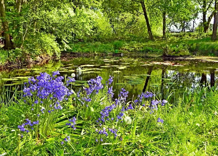 Mulleby 公寓 Suederhackstedt